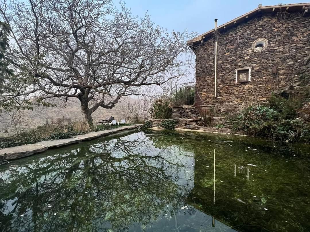 La Casa Del Nogal Chalet